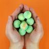 Gift Republic Dino Dinosaur Poop Bath Bombs 10-Pack Tropical Scent 150 Gram view 4