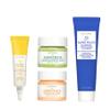 Earth To Skin Super Fruits Starter Set: Blueberry Exfoliating Cleanser (1.0 Fl Oz), Citrus Day Gel Cream (0.5 Fl Oz), Avocado Overnight Mask (0.5 Fl Oz), and Banana Brightening Eye Cream (0.23 Fl Oz) view 1