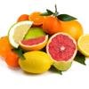 Earth To Skin Super Fruits Starter Set: Blueberry Exfoliating Cleanser (1.0 Fl Oz), Citrus Day Gel Cream (0.5 Fl Oz), Avocado Overnight Mask (0.5 Fl Oz), and Banana Brightening Eye Cream (0.23 Fl Oz) view 4