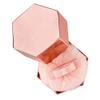 Shimmer highlighter pluff Tr3asur3d view 2