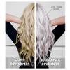 HAIR BAR NYC 20 Volume - Blond Plex Anti-Yellow Porfessional Lightening System for Charcoal Hair Bleach - Violet Developer with Plex, Reduce Brassy, Eliminates Orange Tones 33.8oz/1lt view 2