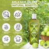 Amla Herbal Hair Oil, Stimulated Hair Growth, Reducing Hair Loss, Improve Scalp Circulation by Herboganic 5 Fl. Oz view 2