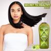 Amla Herbal Hair Oil, Stimulated Hair Growth, Reducing Hair Loss, Improve Scalp Circulation by Herboganic 5 Fl. Oz view 3