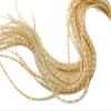 10 Pieces - Bleached Grizzly Thin Long Whiting Farm Rooster Saddle Hair Extension Feathers Craft Supply Fly Tying Summer | Moonlight Feather view 1