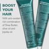Saryna Key No Yellow Trio Shampoo, Conditioner, Oil Shea Butter view 2