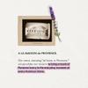 A LA MAISON Lavender Rosemary Olive Oil Bar Soap - Triple French Milled Natural Moisturizing Hand Soap Bar (12 Bars of Soap, 3.5 oz) view 4