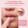 Lip Scrubs Exfoliator & Moisturizer, Lip Repair for Lush Soft Lips, Lip Moisturizer for Chapped Dry and Flaky Lips Treatment (Peach) view 3
