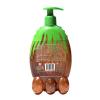 RAW SUGAR Kids' 2-in-1 Shampoo + Conditioner - Coconut + Aloe Vera - 12 oz view 2