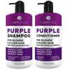 Purple Shampoo and Conditioner Set for Platinum Blonde, Silver, Light, Bleached and Grey Hair - Sulfate and Paraben Free Professional Salon Grade Toner (2 x 16.9 fl oz)  for Women and Men view 1