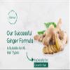 BeNat All-Natural Shampoo Bars Sulfate-Free Nourishes Your Follicles with Antioxidants to Support Strong and Healthy Hair Ginger for Hair Growth Zero-Waste Eco-Friendly view 3