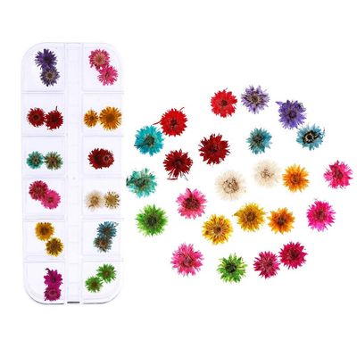 HANRUO Dried Flowers- Mix Colors Dried Flower Flower for Nail Art Decorations Mixed Natural Nail Flowers Dry Flower Ornaments Manicure Accessories (Color : 12)