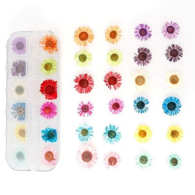 HANRUO Dried Flowers- Mix Colors Dried Flower Flower for Nail Art Decorations Mixed Natural Nail Flowers Dry Flower Ornaments Manicure Accessories (Color : 2)