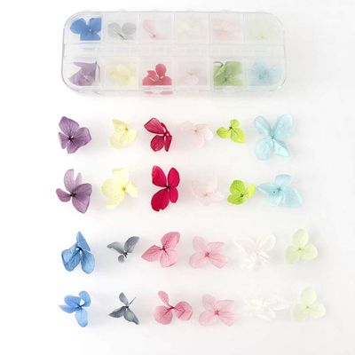 HANRUO Dried Flowers- Mix Colors Dried Flower Flower for Nail Art Decorations Mixed Natural Nail Flowers Dry Flower Ornaments Manicure Accessories (Color : 1)
