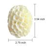 6Pcs Bath Honeycomb Sponge Large Natural Sea Sponges Soft Body Face Cleaning Sponge Exfoliating Shower Sponges for Adults Kids view 2