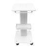 ABS Salon Mobile Cart, Professional Beauty Rolling Trolley Cart Salon Equipment Spa Service Instrument Hairdressing Storage Tray Trolley, Max Load: 50kg/ 110LBs view 1