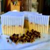 All Natural Herbal Soaps (One Size) view 2