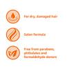 Amazon Basics Soft & Sleek Conditioner for Dry or Damaged Hair, 28 Fluid Ounce view 4