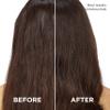 L'Oreal Paris Sulfate Free Moisture 21-in-1 Leave-In Conditioner for Dry Hair, EverPure, 6.7 fl oz view 4