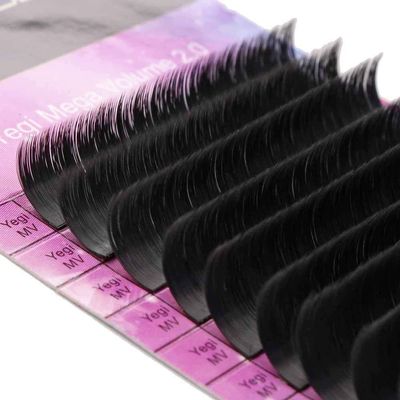 Mega Volume 2.0 Lashes (Vegan) | 0.07 DD 17mm