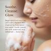 Juara Rice Facial Cleanser - Gentle Sulfate-Free Face Wash with Rice Bran & Apple Extract for All Skin Types, Makeup Remover, Hydrating Daily Cleanser for Sensitive Skin, 3.3 FL OZ view 4