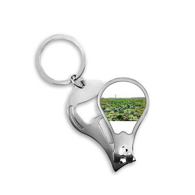 A Lotus Pond Art Deco Fashion Fingernail Clipper Cutter Opener Key Chain Scissor