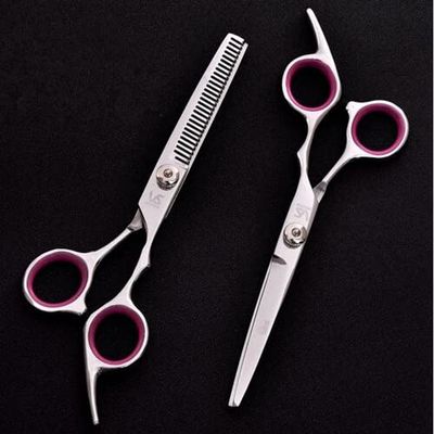 Hair Cutting Scissors, 6 inch Cutting Thinning Styling Tool Hair Scissors Stainless Steel Salon Hairdressing Shears Regular Flat Teeth Blades BY ZZYY (Color : Two Scissors)