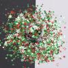 10 Grams/Pack - Christmas Holiday Snowflake Star Mixes Series Glitter - Festival Rave Beauty Makeup Face Body Nail Art Craft Tumbler Decoration CH143 view 4