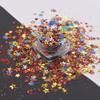 10 Grams/Pack - Christmas Holiday Snowflake Hollow Star Mixes Series Glitter - Festival Rave Beauty Makeup Face Body Nail Art Craft Tumbler Decoration CH137 view 3