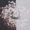 10 Grams/Pack - Christmas Holiday Snowflake Mixes Series Glitter - Festival Rave Beauty Makeup Face Body Nail Art Craft Tumbler Decoration CH139 view 1