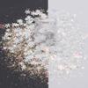 10 Grams/Pack - Christmas Holiday Snowflake Mixes Series Glitter - Festival Rave Beauty Makeup Face Body Nail Art Craft Tumbler Decoration CH139 view 2