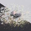 10 Grams/Pack - Christmas Holiday Snowflake Mixes Series Glitter - Festival Rave Beauty Makeup Face Body Nail Art Craft Tumbler Decoration CH139 view 4