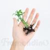 Framendino, 20 Pack Funny Bean Sprout Hair Clips Plant Grass Barrette for Women view 2