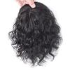 16x14cm Left Part Curly Hair Toppers for Women Real Human Hair Large Area Hair Pieces Human Hair Clip On Top Topper Hair Replacement Wiglets off black(10inch) view 3