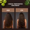 AyurVita Restorative Hair Oil - Amla for Strengthening & Neem for Preventing Dryness and Dandruff - For Dry, Damaged Hair Growth - For Men & Women - 2 fl oz view 4