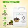 PUROLEO Castor Oil 32 Fl Oz/946 ML (Packed In Canada) 100% Pure and Natural Hair, Lash, Beard, Eyelashes & Eyebrow Oil Black castor oil for brow lashes, Make eyelash serum, hair serum for dry hair view 2