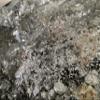 Gel Wax view 1