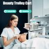 Beauty Salon Trolley Stand Rolling Cart with Wheels and Large Storage Fence, Multil-Function Salon Spa Service Instrument Hairdressing Storage Tray Beauty Rolling Trolley Cart Max Load 88lbs view 2