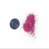 DIY Kit Creations: Biodegradable Magenta Pink Ultra-Fine Cosmetic Grade Glitter 0.75 oz jar - Vegan & Made in The USA view 3