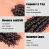 KAVSORAPI Passion Twist Hair,10 Inch Passion Twist Braiding Hair,Short Pre Looped Crochet Twist Jumbo Pre-twisted Two Strand Braids 8 Packs (4#/Light Brown) view 3
