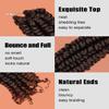 KAVSORAPI Passion Twist Hair,10 Inch Passion Twist Braiding Hair,Short Pre Looped Crochet Twist Jumbo Pre-twisted Two Strand Braids 8 Packs (T30/Ombre Medium Dark Brown) view 3