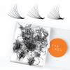Eyesy Lash 500 Promade Fans - Volume Premade Lash Fans for Eyelash Extensions Pointy Base Handmade Loose Pre Made Eyelashes Middle Stem Soft and Lightweight (8D 0.05 D 14mm) view 1