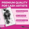 Eyesy Lash 500 Promade Fans - Volume Premade Lash Fans for Eyelash Extensions Pointy Base Handmade Loose Pre Made Eyelashes Middle Stem Soft and Lightweight (8D 0.05 D 14mm) view 4
