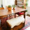 Fur Accents Plush Shag Sheepskin Accent Rug, Hide, Pelt, Several Colors, Area Rug, Luxury Soft Faux Fur Carpet, Hand Made USA, 60"x72" view 2