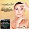 Naturex Pure Dead Sea Mud Mask  Luxurious Mud Masks for Women and Men  Advanced All-Natural Dead Sea Mud Mask for Blackheads, Whiteheads, Hyperpigmentation, Acne  8.8fl oz view 2