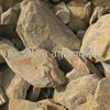 Astha SATVA Multani Mitti Powder-(100 gm) view 2