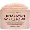 Brooklyn Botany Himalayan Salt & Stem Cell Body Scrub - Moisturizing and Exfoliating Body, Face, Hand, Foot Scrub - Fights Stretch Marks, Fine Lines, Wrinkles - Great Gifts for Women & Men - 10 oz view 1
