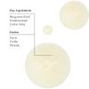 Aesop Travel Shampoo | Soften Hair, Restore Shine | Bergamot Rind, Frankincense, Cedar Atlas | 3.3oz / 100mL view 3
