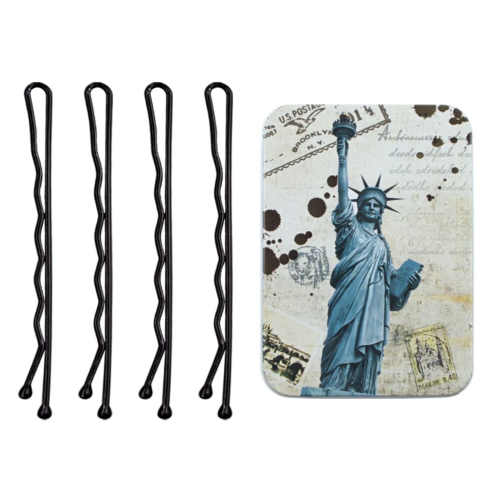 Black Long Bobby Pins for Thick Hair, 2.75 '' Jumbo Bobby Hair Pins with Case, Extra Large Bobby Pins for Buns, Premium Tipped Hair Style Pins for Women Girls (Black, 100 Count)