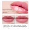 Ginger Lip Mask Magical Lip Plumper, Lip Plumping Balm with Beeswax and Vitamin E, DEROL Lip Plumper, Day&Night Use Lip Enhancer for Fuller, Softer Bigger Fuller Lips by Natural Lip Plumper view 4