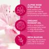 Andalou Naturals Mask 1000 ROSES, Overnight Sleeping Mask for Dry, Chapped Lips, Plumping, Hydrating & Soothing Balm with Alpine Rose Stem Cells, Vegan & Cruelty-Free, 0.42 O view 4